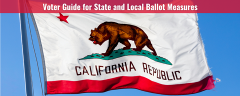 November 2024 Ballot Measures Voter Guide - Sacramento County ...